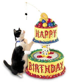 Happy Birthday cat cake