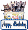 Happy Birthday! -- cats