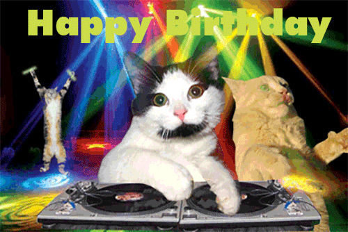 Happy Birthday -- Funny Cats