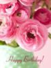 Happy Birthday! -- Pink Flowers