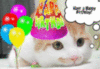 Have a Happy Birthday! -- Cute Cat