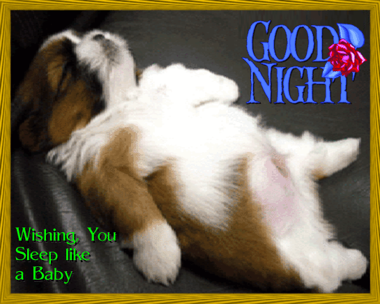 Good Night! Wishing You Sleep like a Baby