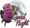 Good Night -- Angel and Flowers