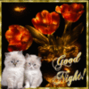 Good Night -- Kittens and Flowers