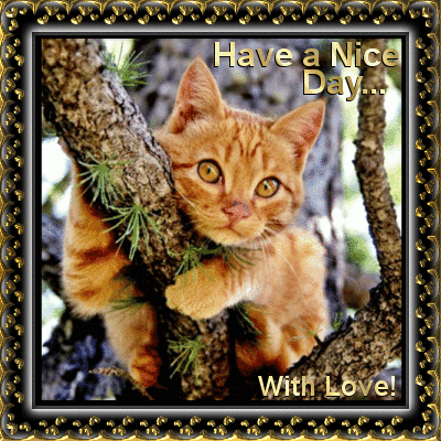 Have a Nice Day... With Love! -- Cute Kitten