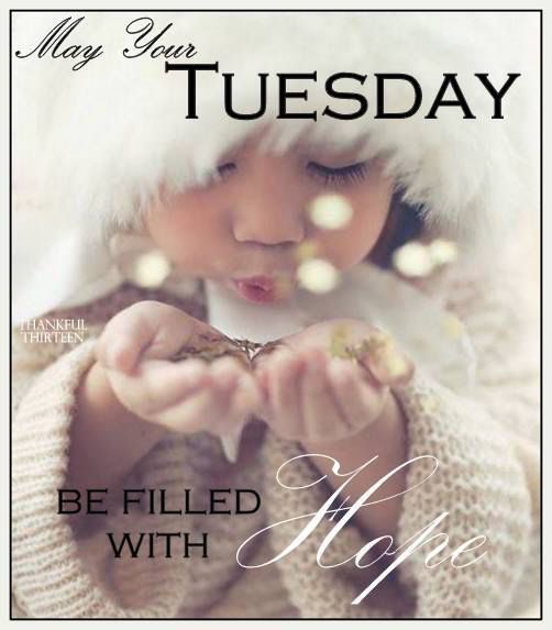 May Your Tuesday Be Filled with Hope