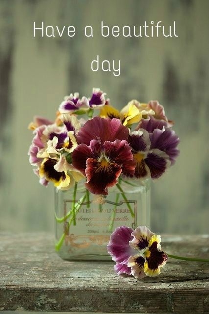 Have A Beautiful Day -- Flowers