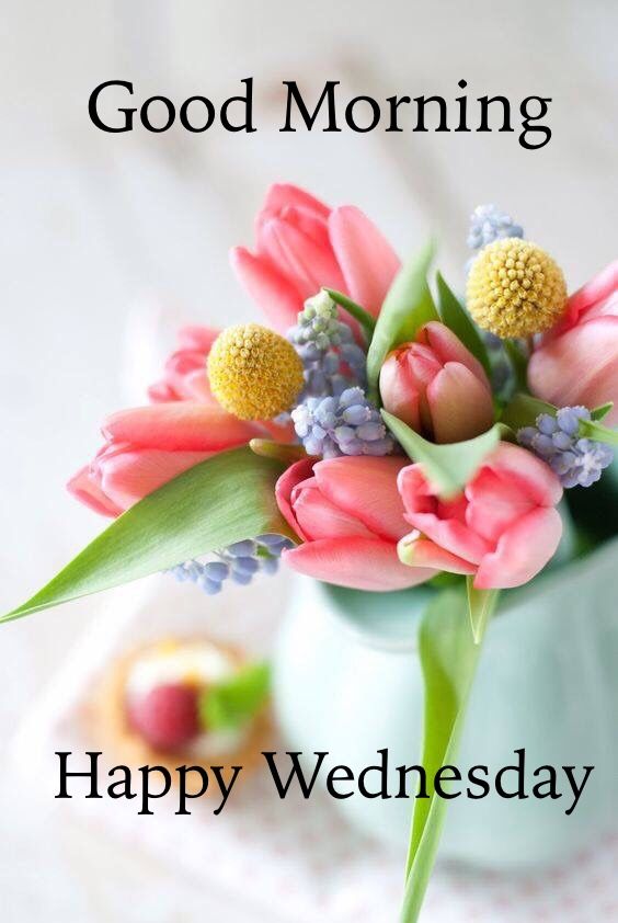 Good Morning! Happy Wednesday! -- Flowers