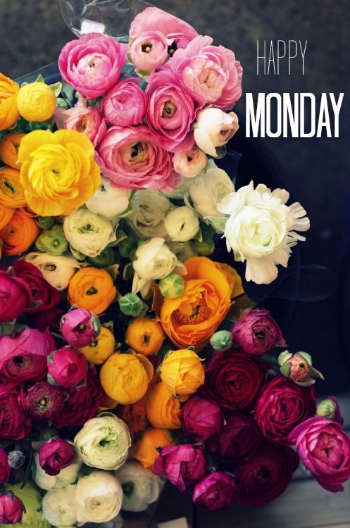 Happy Monday -- Flowers