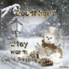 Good Night Stay warm God's Blessings 