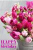 Happy Birthday -- Pink Flowers