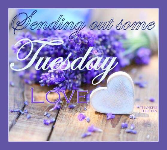 Sending out some Tuesday Love