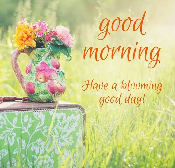 Good Morning! Have a Blooming Good Day! -- Flowers