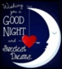 Good Night and Sweet Dreams