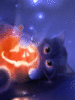 Happy Halloween -- Cute Kitten with Pumpkin