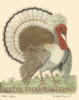 Happy Thanksgiving -- Retro Card