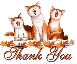 Thank You -- Cats