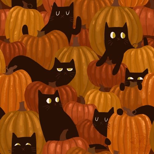 Happy Halloween -- Black Cats and Pumpkins