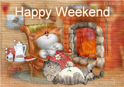 Happy Weekend -- Cute Lazy Cats