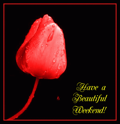 Have A Beautiful Weekend! -- Flower