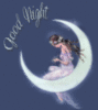 Good Night -- Beauty on the Moon