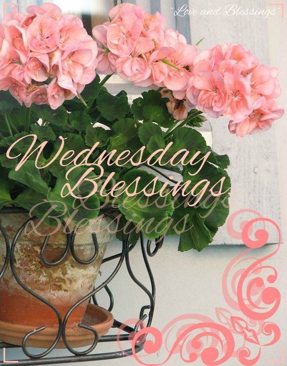 Wednesday Blessings -- Flowers