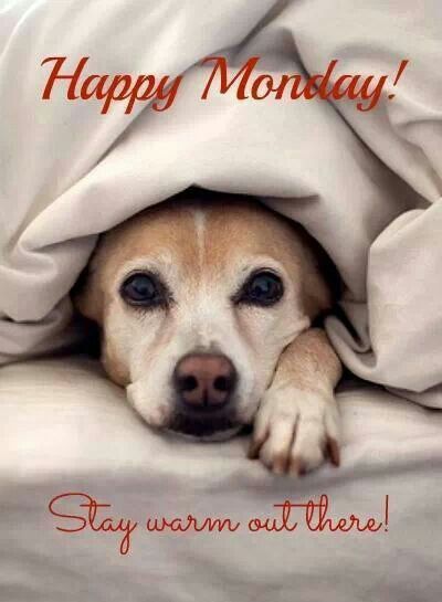 Happy Monday! Stay warm out there!