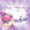 Happy Wednesday! -- Flowers