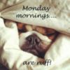 Monday mornings... are ruff!