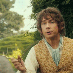 Bilbo Baggins -- Hobbit