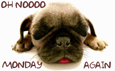 Oh No... Monday Again -- Puppy