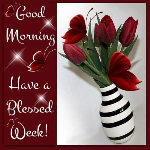 Good Morning! Have a Blessed Week! -- Red Flowers
