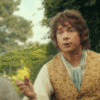 Bilbo Baggins -- Hobbit