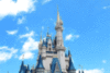 Disney Park Castle