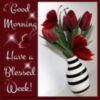 Good Morning! Have a Blessed Week! -- Red Flowers