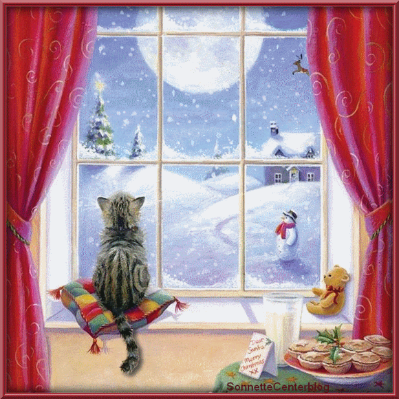 Merry Christmas -- Cute Little Kitten looking to Santa