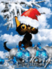Merry Christmas -- Black Cat