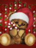 Merry Christmas -- Cute Teddy Bear
