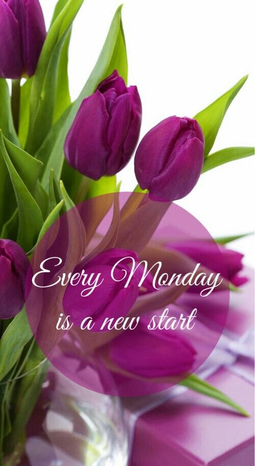 Every Monday is a new start