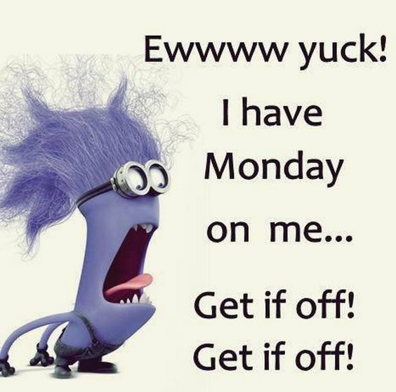 Monday Quote -- Funny Minion