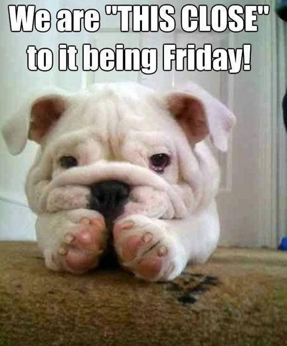 It's almost Friday! We're "this close!" -- LOL 