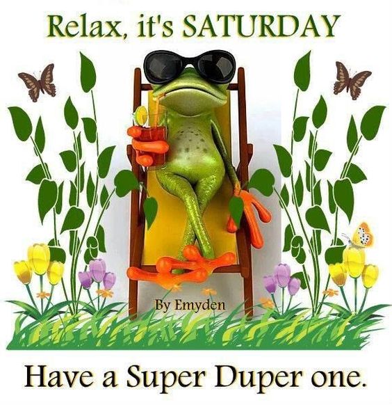 Relax, it's Saturday -- Frog