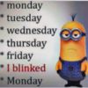 Week Funny Minions Quote