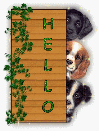 Hello -- Cute Puppies