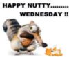 Happy Nutty Wednesday!