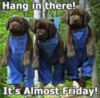 Hang In There! It's Almost Friday!