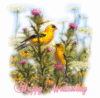 Happy Wednesday -- Birds and Flowers
