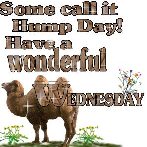 Some call it Hump Day! Have a wonderful Wednesday!
