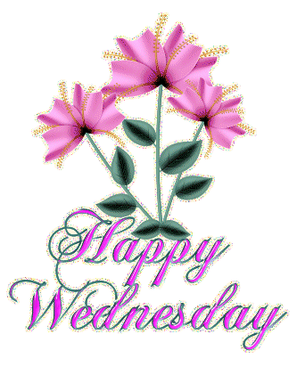 Happy Wednesday -- Pink Flowers