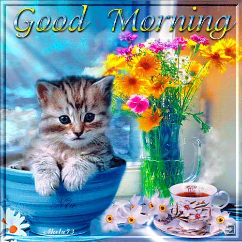 Good Morning -- Kitten in a Cup